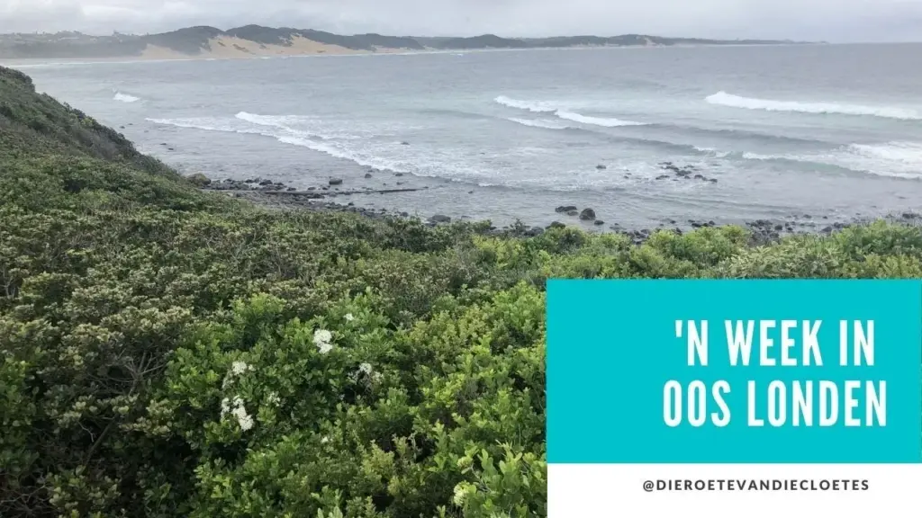 image aac54387 a321 42f2 be6a 9c601654ac2e.webp