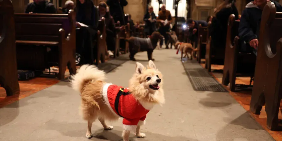 image b6994642 2fc5 4bde 84ed 822ed76cd514.webp