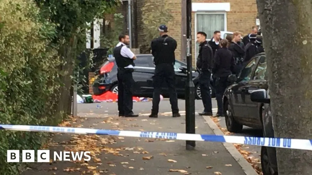 South London Murder Investigation: Man Arrested in Case image c6795a36 3b7d 4bd7 a63c a6bd5f387176.webp