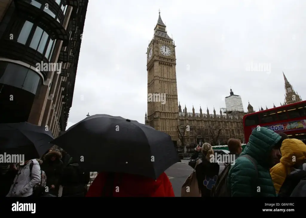 image d4af1f46 b4f0 48af 835e 79e273e99227.webp