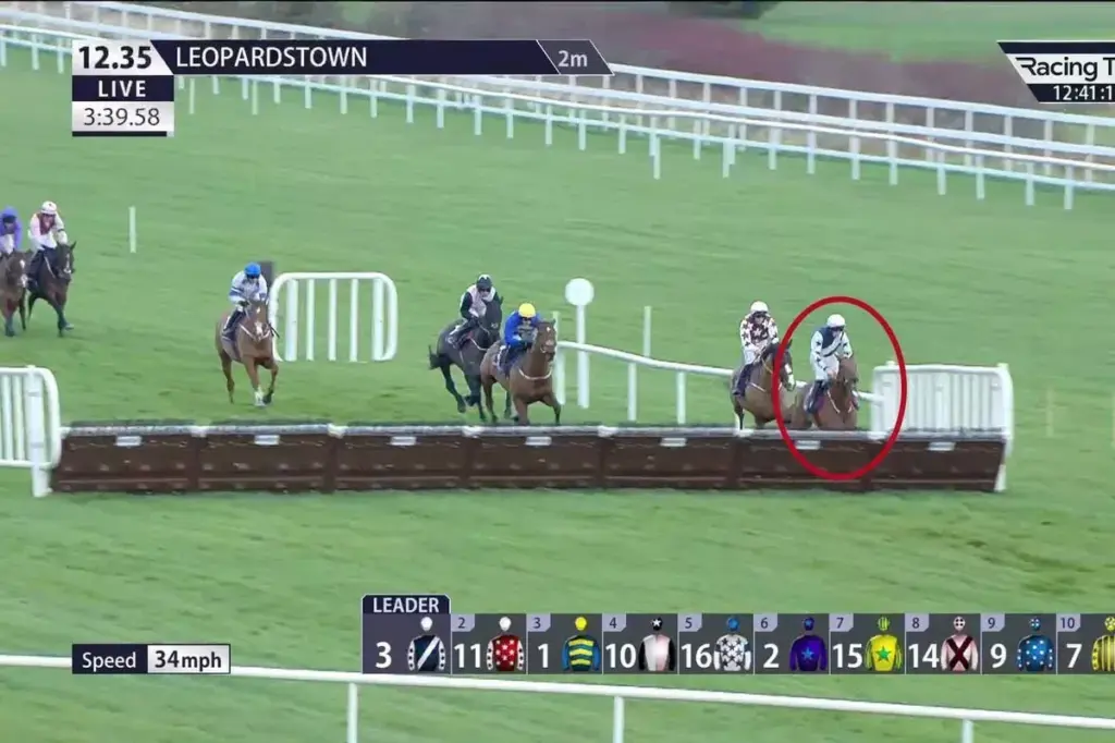 image dc0f5ae8 8f3a 42b9 82b7 761332ca76ef.webp