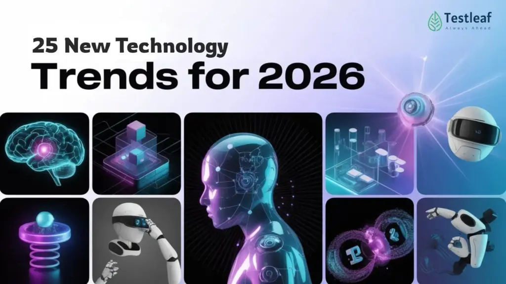 image e317f3ae b693 4748 9aa5 adf18ff66b28.webp