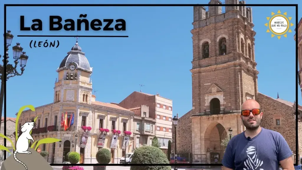 image e887ca5c 6dc8 44f1 9caf fbe0c8eb2f18.webp