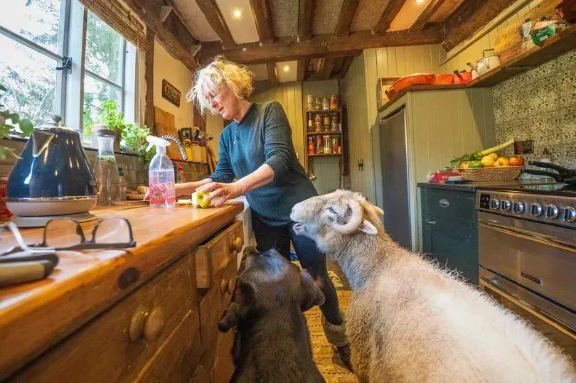 image e9abfaf9 a130 4b9a a91b 9442506ee23f.webp