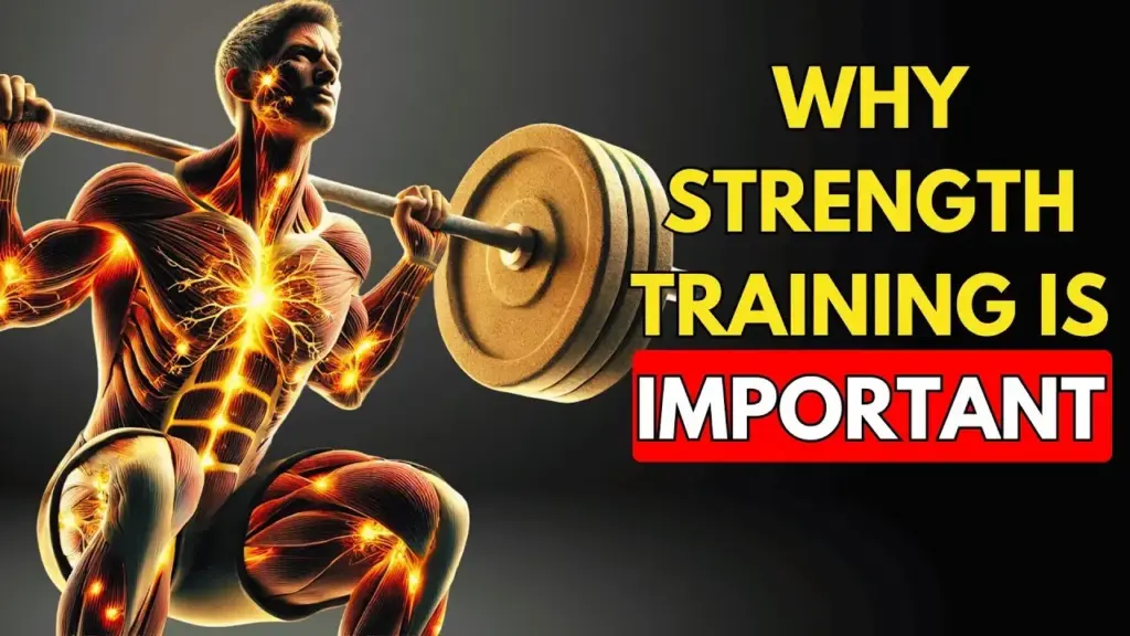 How Training Changes Your Body: The Science of Sport image eea15e51 0b82 4e7c a12c 2ef89d9113ad.webp
