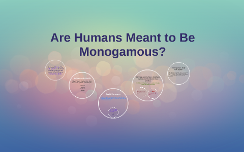 image f11b4b05 25f2 4ce1 9f2b 632d356c3b6e.png