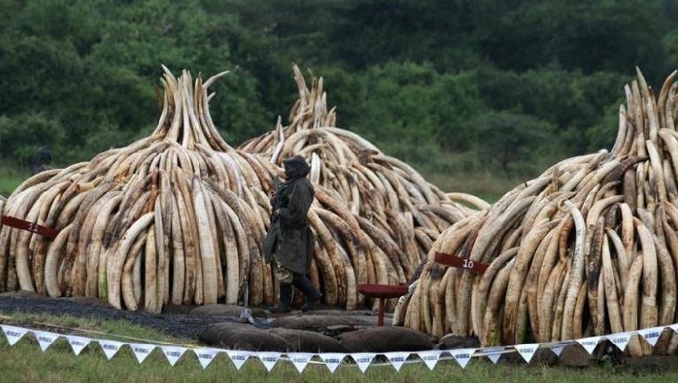 image f2513a24 1b37 4b88 8190 b9514013e8d3.png