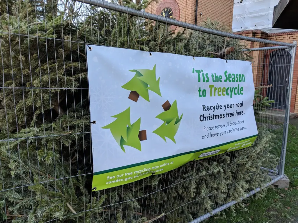 image f2a44c6d 0007 449c 9662 03bceec5e1c6.webp