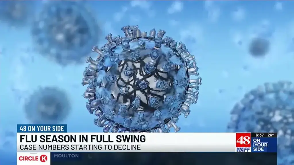 image f9954348 6366 460f 855d a039ddede102.webp