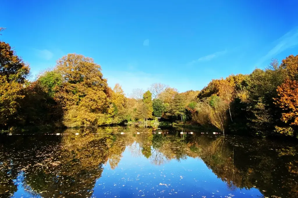 image fcfd9855 9a42 4833 ab4b 9bd89c87e370.webp