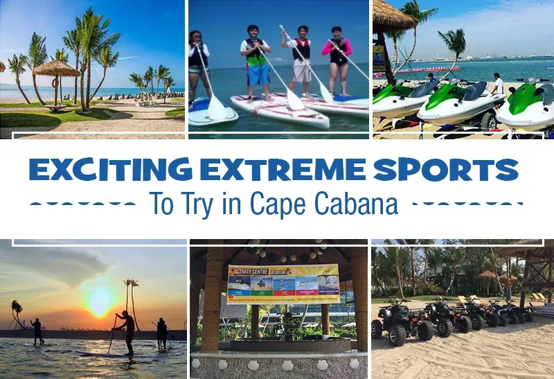 image ffe29bc6 69f0 4c68 af5f 3675c83cf371.webp