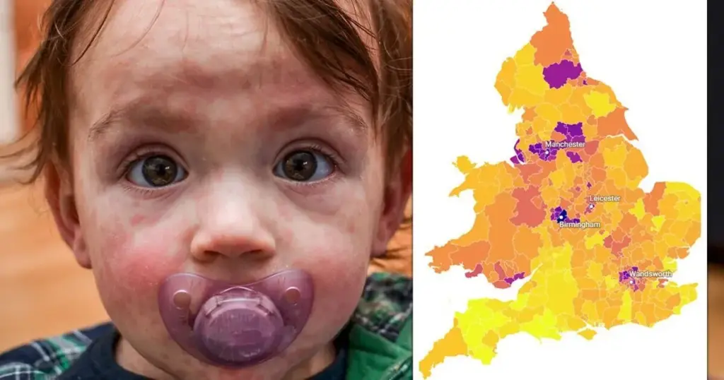 image 08ff0c8a 6190 4ef9 845a 61a77cf14cd2.webp