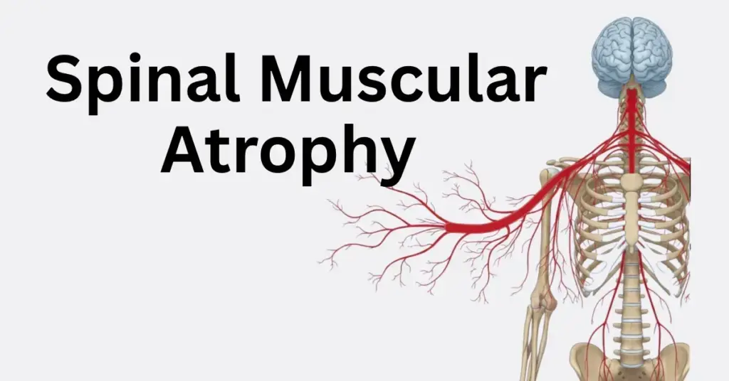 image 09d57924 0b81 42b9 8809 1129870cfcc8.webp