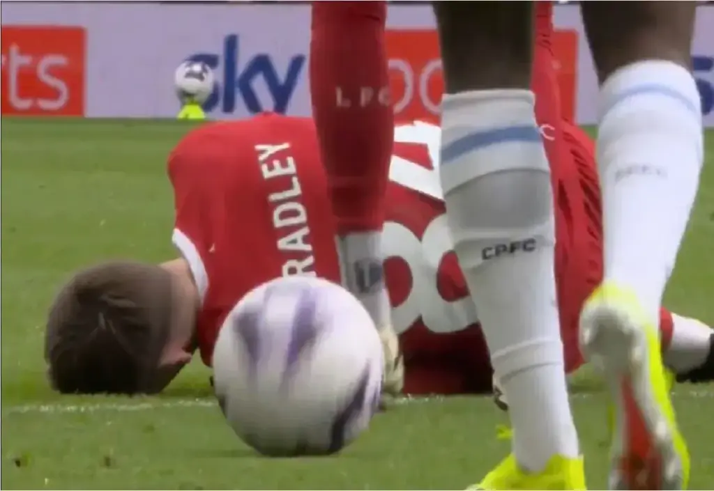 image 0b57e0ed 608a 48e0 97d9 04caa36df823.webp