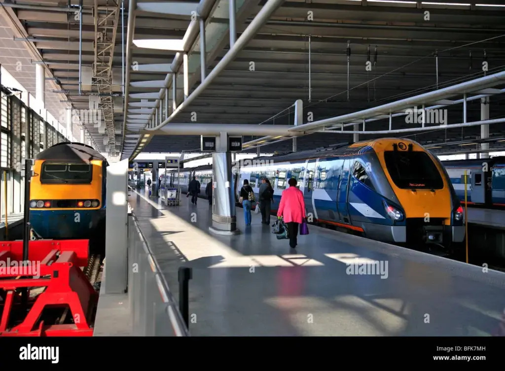 image 0bc3d2d9 88ed 49bb 96a8 ff6bbca4fa32.webp