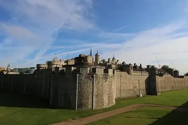 image 0f4cf0fe 3249 465a a2e9 be00301bd88c.webp