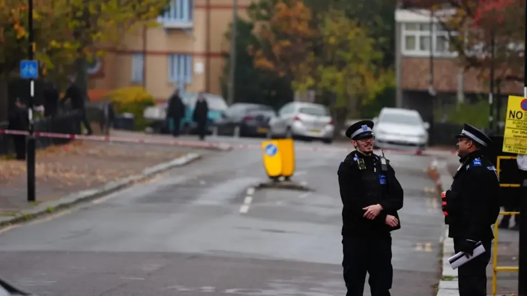 image 14e1c282 f0c9 4d25 b240 ea9181b024c1.webp