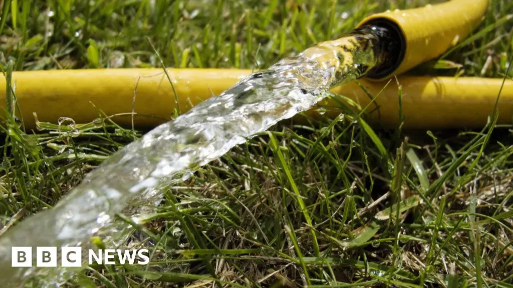 image 19fbb489 1e9e 4bf5 8106 d0e80b056e49.webp