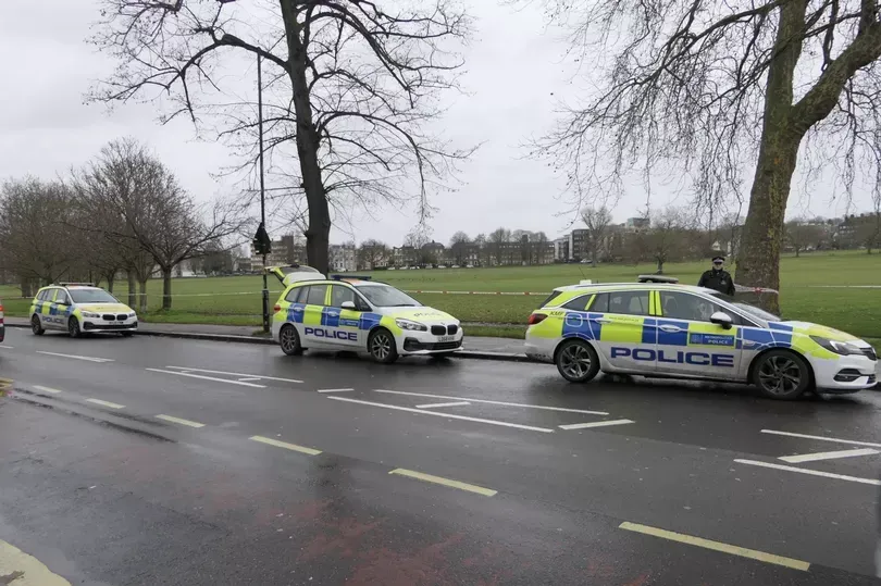 image 1ec2a53b ffe3 49fc 9c70 e8d0d2c27cee.webp