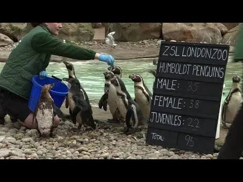 image 2bab341f 0301 4bb2 8d93 2363fb672528.webp