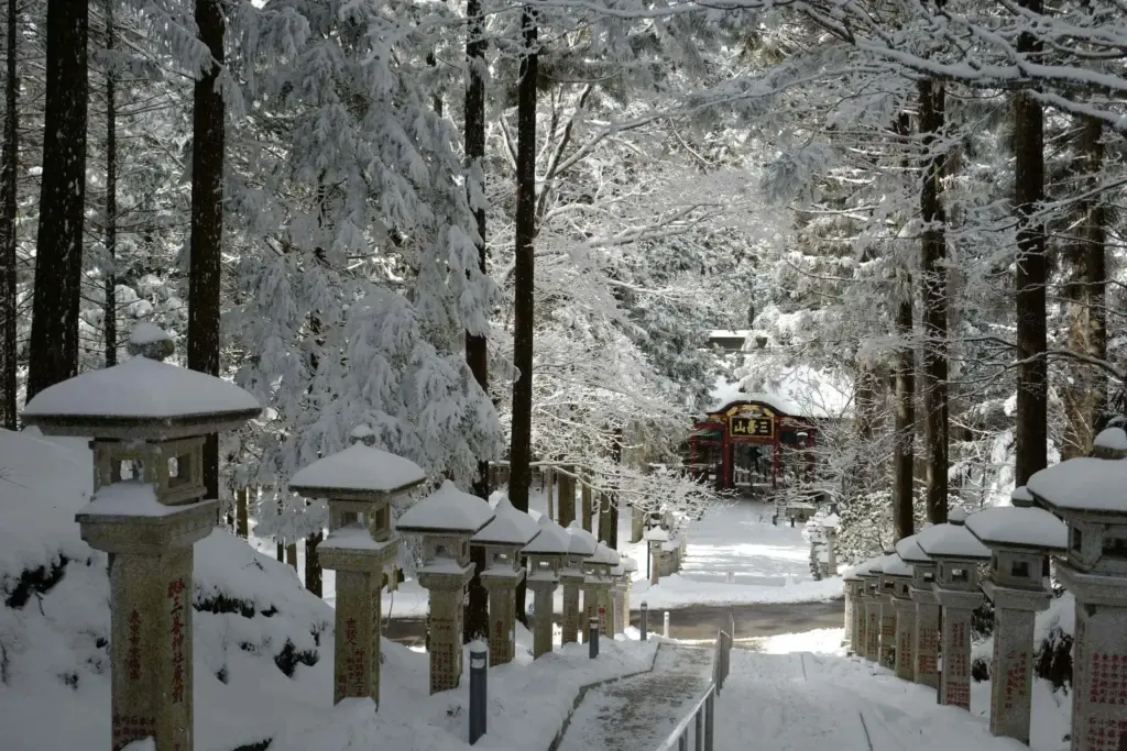 image 2e9514d7 0408 4586 bf08 91fe39a0632e.webp