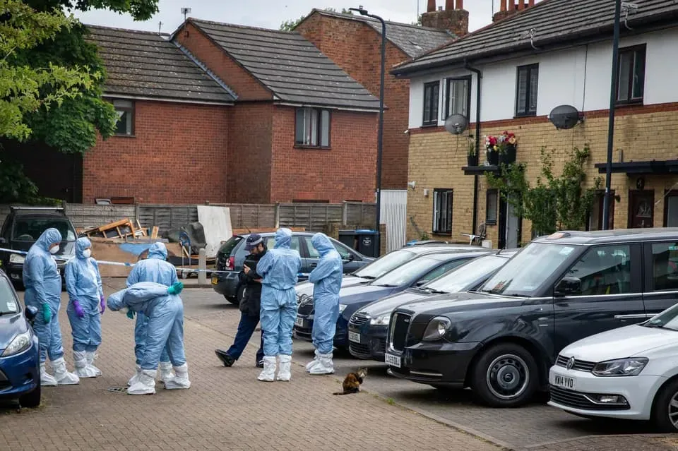 image 31e316ca ef52 4168 a59c 72b60db24bc9.webp