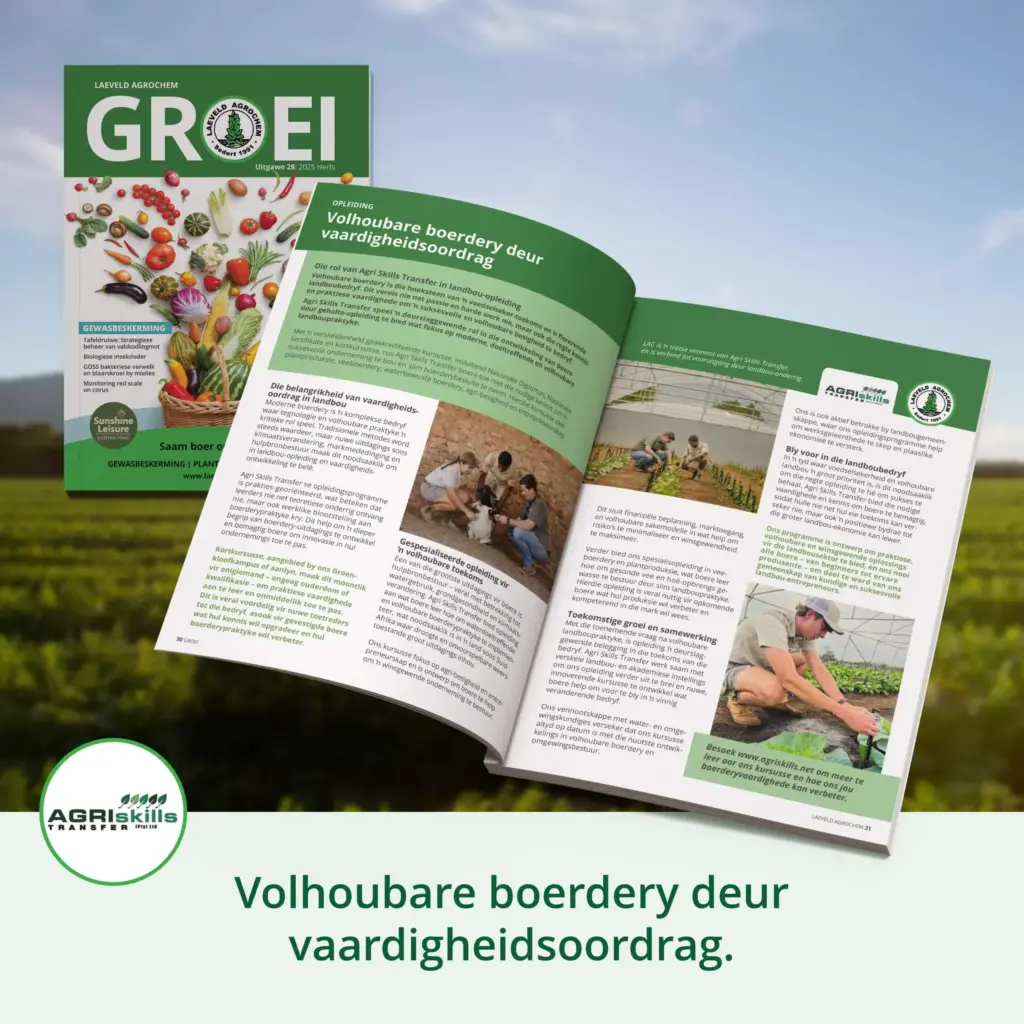 image 434992b9 20b4 4560 8a05 2ebf22ce1624.webp