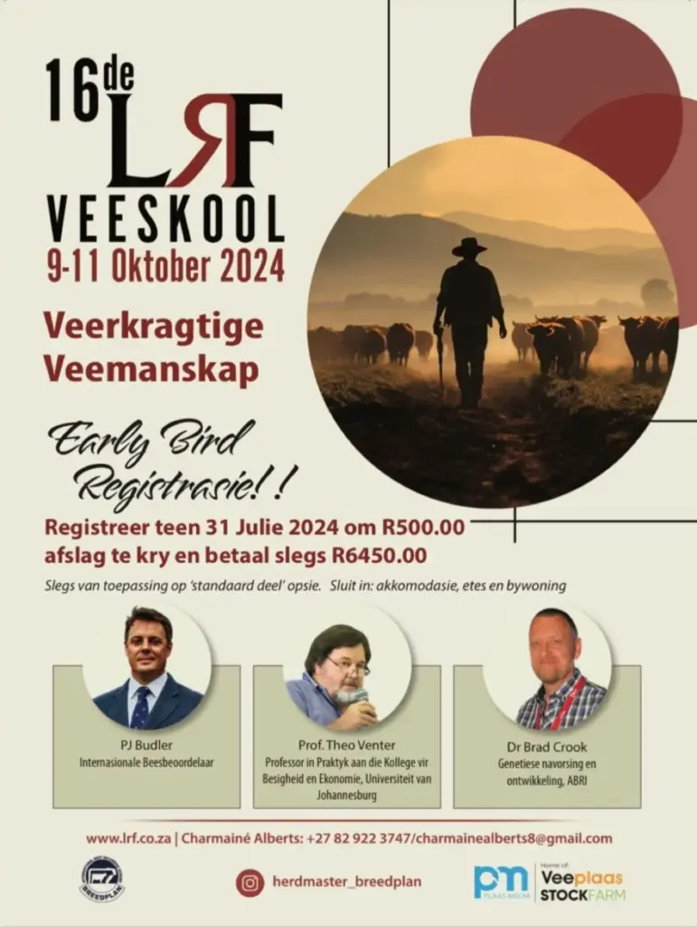 image 4e6de6d2 816d 40cc 9330 783e866b89f9.webp