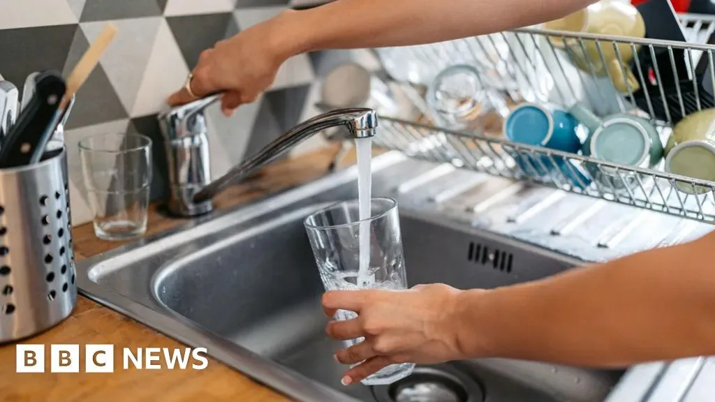 image 4f5ea2a4 397d 4ae0 8f24 1a2f90d99ada.webp