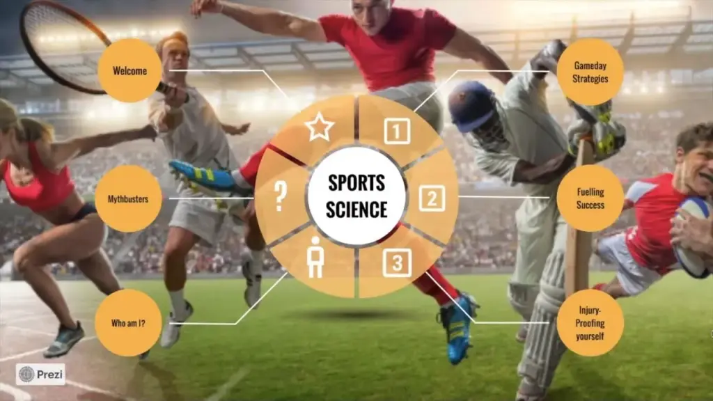 image 57081b9c 3fe1 42a3 bd8d 52c0c6fafad3.webp