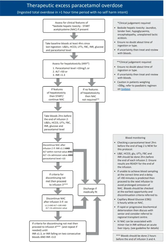 image 57b48a03 e467 4e1e af64 5d795503fa49.webp