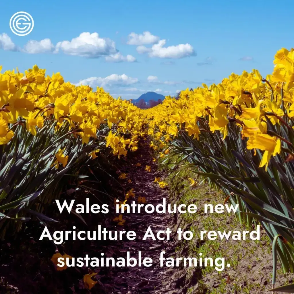 image 5ed67f1b cd96 44b6 b169 bc39a00cde51.webp