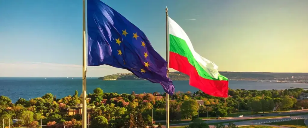 image 608d81aa a535 4113 bfce 6ee17c79703c.webp