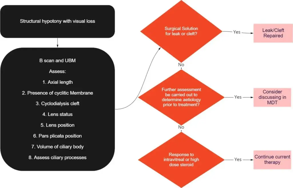 image 6744345c 2b70 4096 a233 9ca10acbf12d.webp