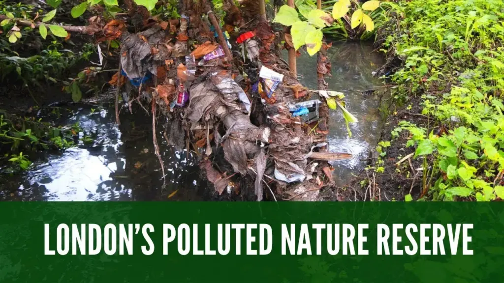 image 701cd2d9 7f2d 4ac8 8346 3fb654a46690.webp