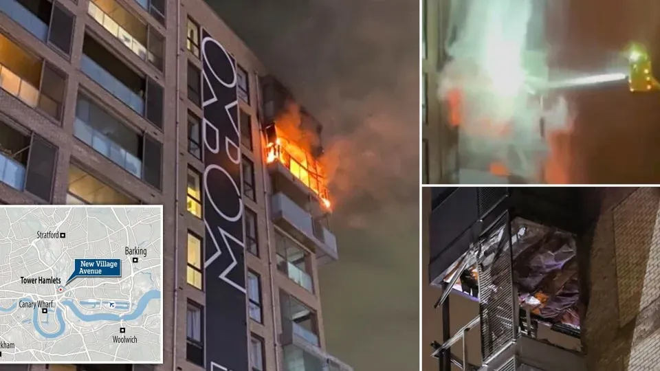 image 73bc6514 c4fa 428f a7d1 6c0b40354aff.webp