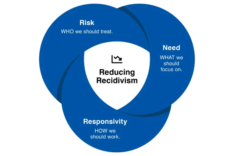 image 7fe9d7fc 9959 4d64 9c2f 4fb47a62e4a0.webp