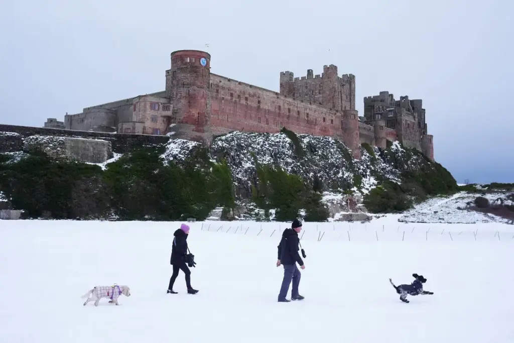 image 878994ec 46e8 467e 9cad cc2687ad59c1.webp