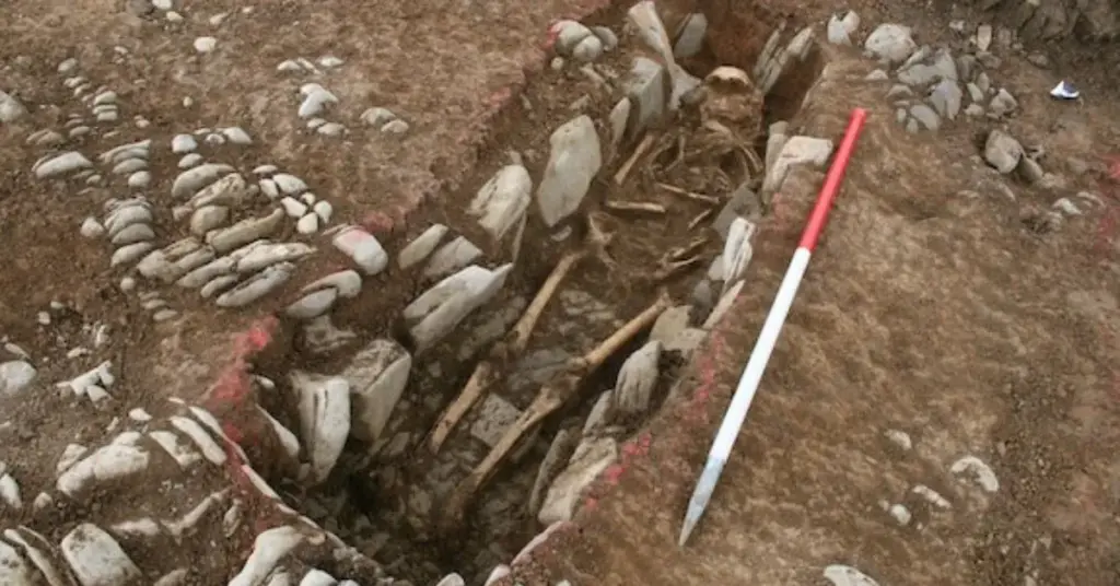 image 8d774395 c892 4493 b063 c18bb2ba690b.webp