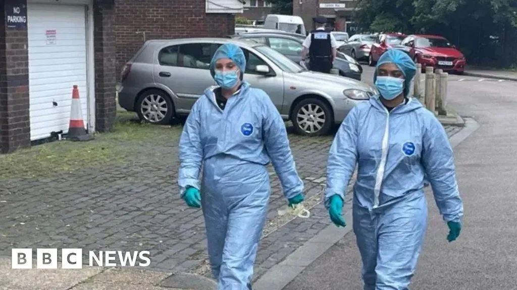 image 91e4ae5b 45f0 491d a8ac 48891821ec97.webp