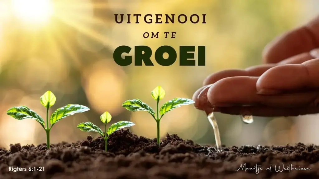 image 9944e187 4800 4233 a901 7f4f2d9ae79e.webp