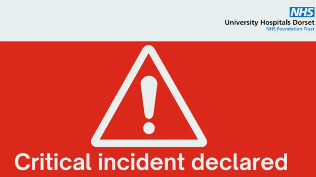 image 99a507aa 27d7 4325 abee a0701c140ac4.webp