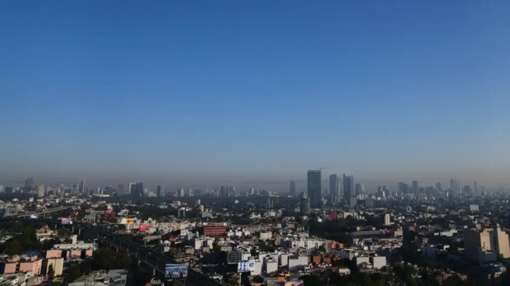 image 99f43bc1 dd3b 4a31 9526 6867c7ade71b.webp