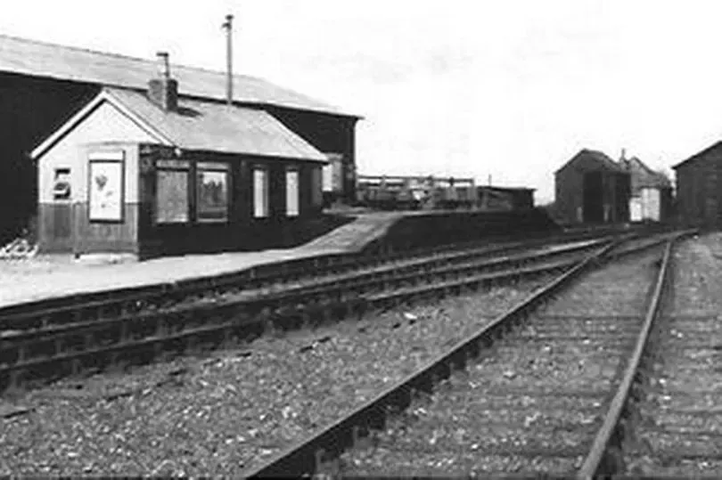 image a19b1dba 2063 4f1e 8eb9 3b078f4e2e29.webp