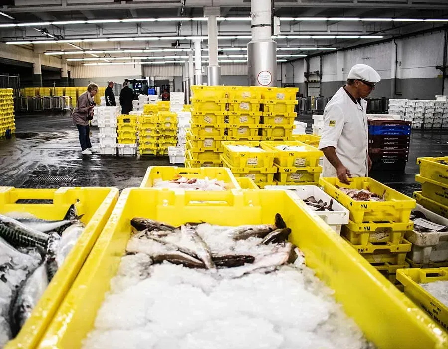 Greenland Deal: What’s in Trump’s Surprising Framework Announcement? image aec09a79 0d82 43e8 9314 c450a4a270cb.webp