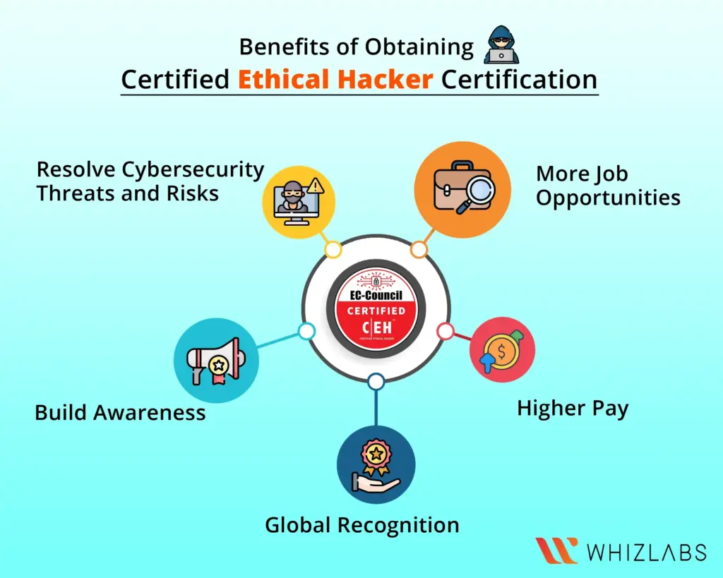 image afc63bc7 725e 4dd3 908c d49a42fb8f7c.webp