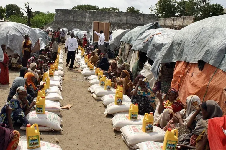 image b5193969 48c7 4d38 b7cc 49228eba2562.webp