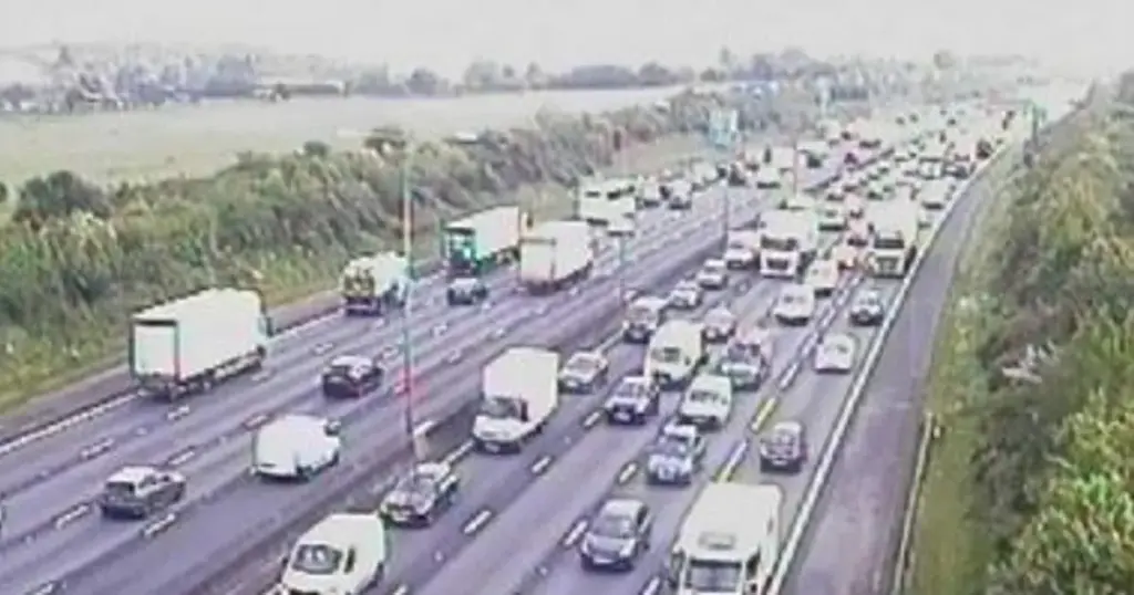 image b6c8a35e 8508 43a0 b831 1d7a50d17724.webp