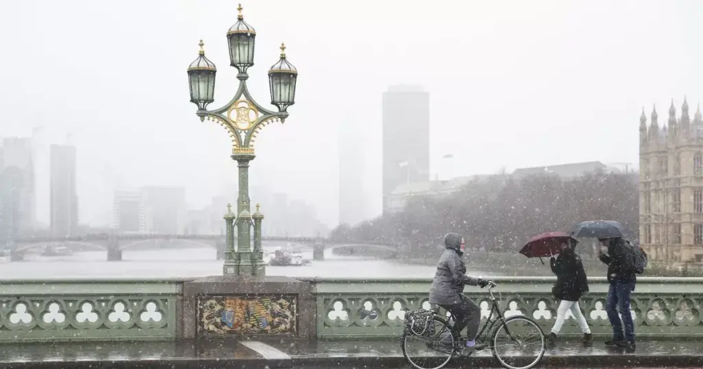 image bc23f582 d131 4e65 8bdf 36e5e0f24449.webp