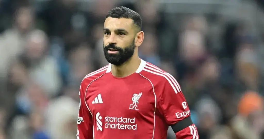 image bf93645e 7e74 44c1 8476 eb9dfe7ca3e0.webp